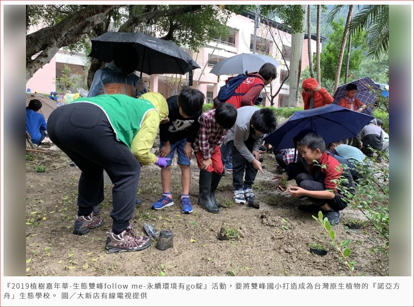復育生態 雙峰國小打造原生植物諾亞方舟